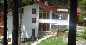 Hotel in a ski resort