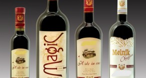 Boutique Wine Cellar