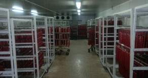 Meat processing plant