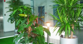 Company for maintenance of parks and gardens